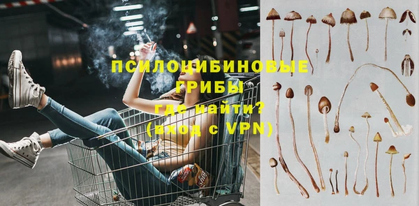 эйфоретик Армянск
