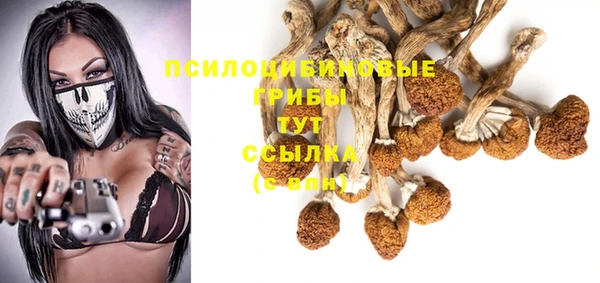 apvp Арсеньев