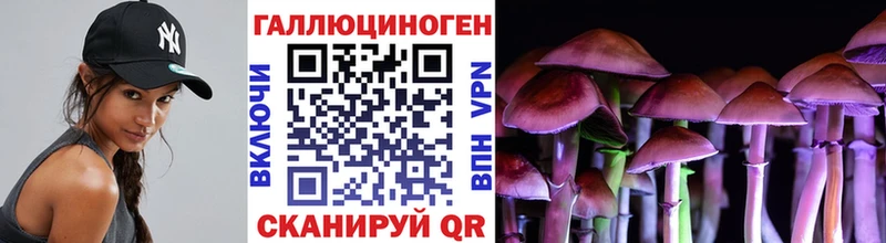 Галлюциногенные грибы MAGIC MUSHROOMS  купить наркотики сайты  Богучар 